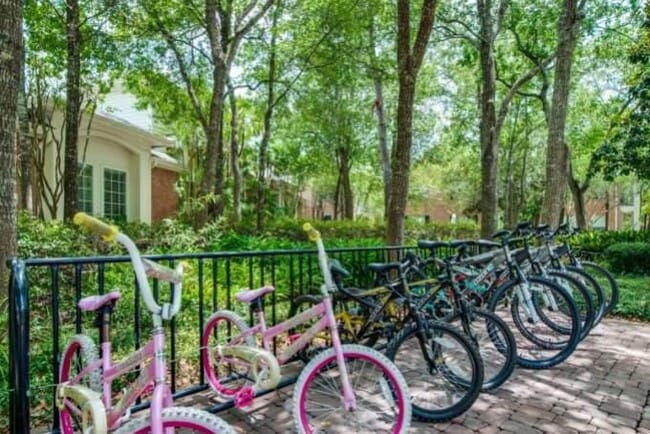 Building Photo - 2 bedroom in Houston TX 77058