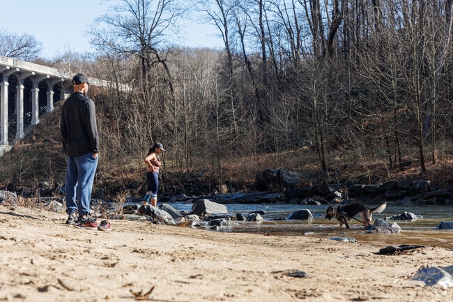 Hollofield in Patapsco Park is a favorite spot for dogs to splash and play in the water.