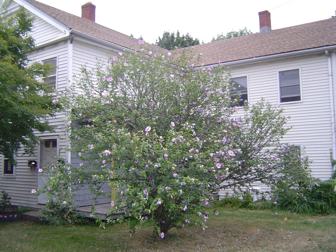Outside - 37 Main St