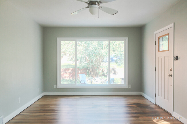 Spacious and light filled living room - 236 Park Pl