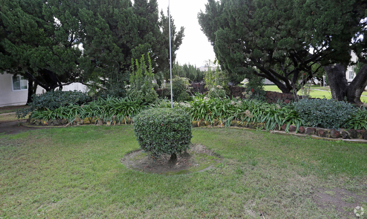 Patio - Fountain Village Apartments