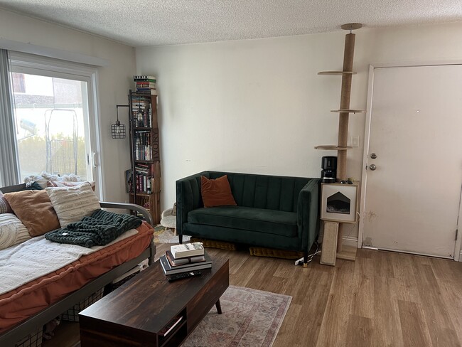 Living Room - 394 Coronado Ave