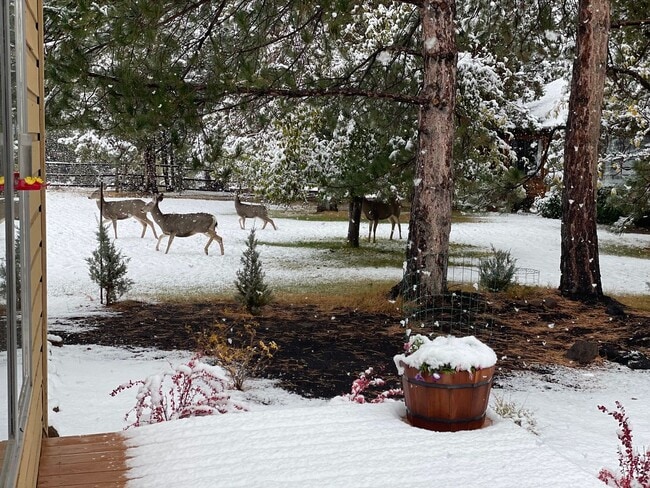 Building Photo - County Setting in NW Bend - 3 Bedroom / 2 Bathroom - PENDING APPLICATION