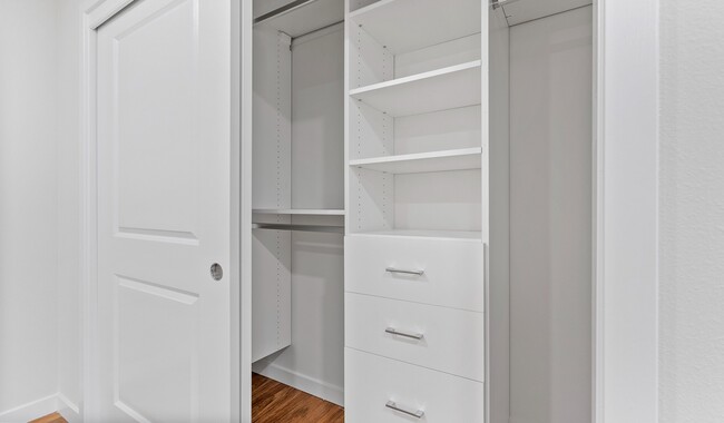 New custom closets with ample hanging and shelf space. - Pacific Bay Vistas Apartments