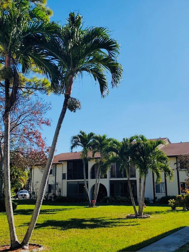 Building Photo - 3561 Pine Needle Dr