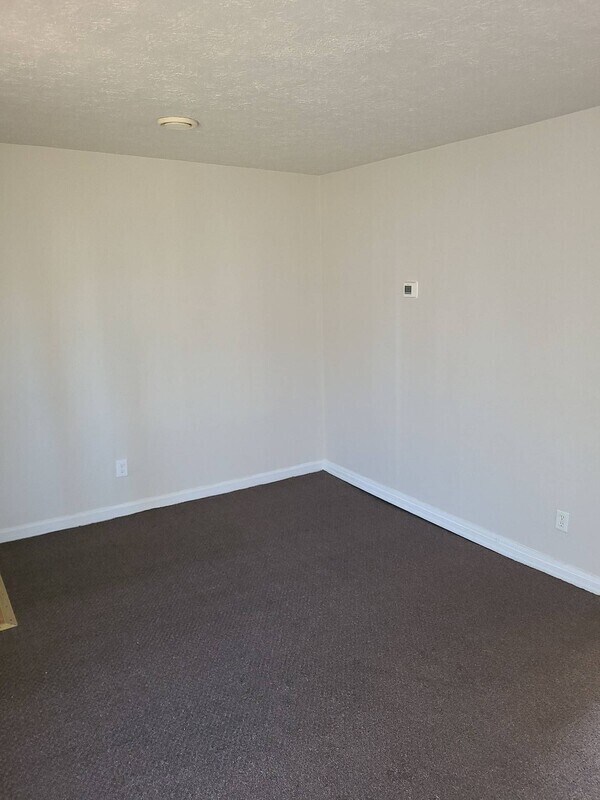 Foto del edificio - 206 Steedly Dr