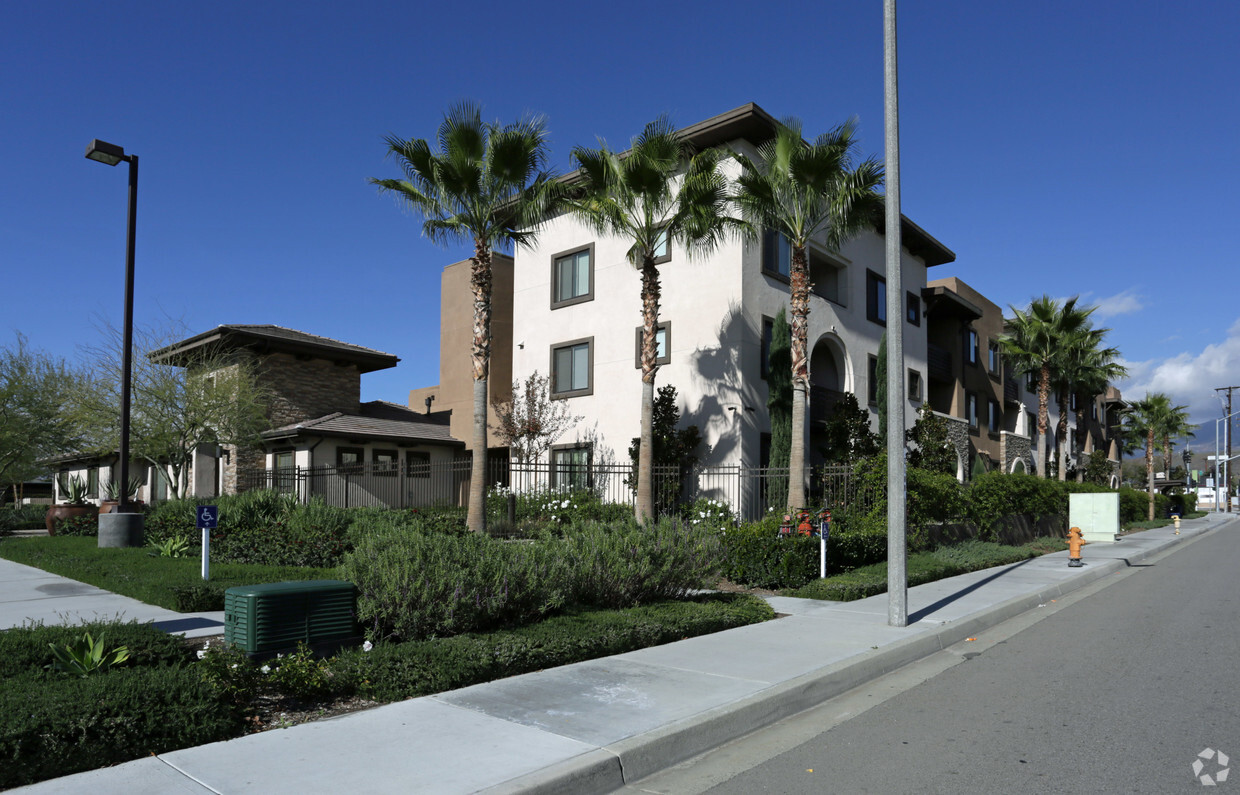 Primary Photo - The Magnolia at Highland Senior Apartments