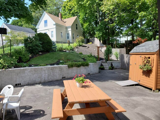 Backyard - 1495 River St