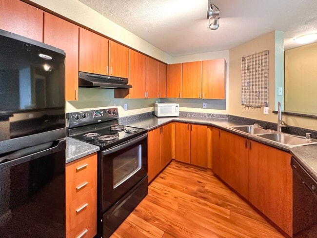 Building Photo - 1Bd/1Ba Kenmore Condo