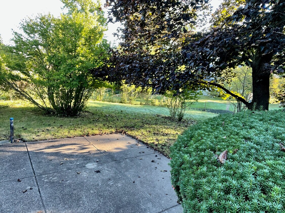 large fenced backyard - 1095 Hansford Rd