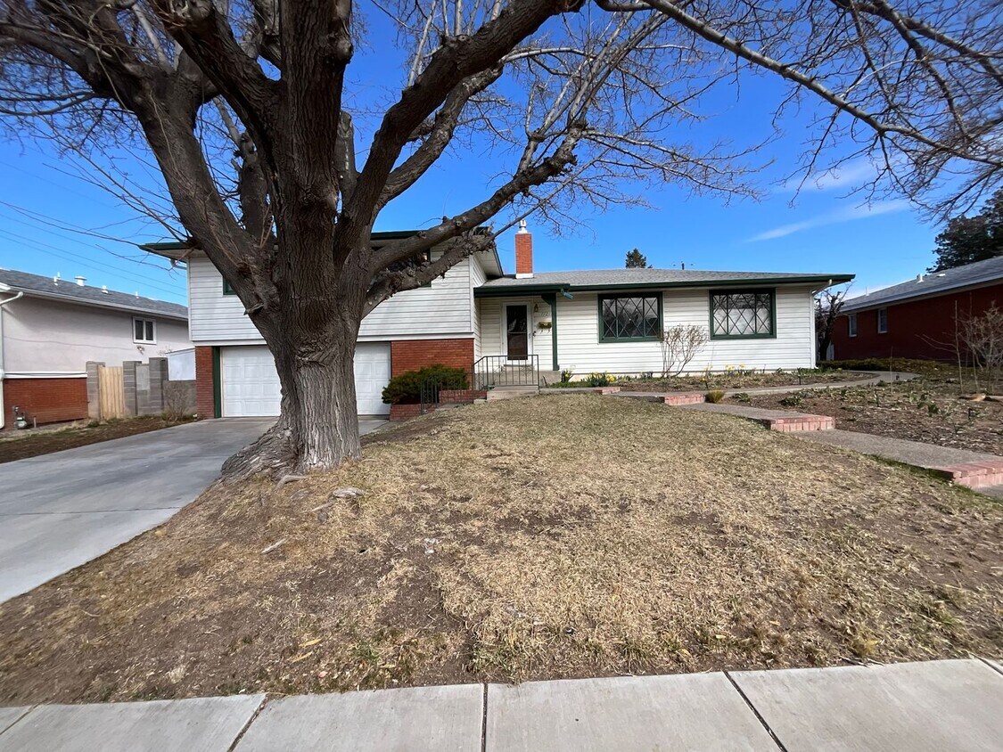 7121 Edwina Ave NE, Albuquerque, NM 87110 House Rental in Albuquerque
