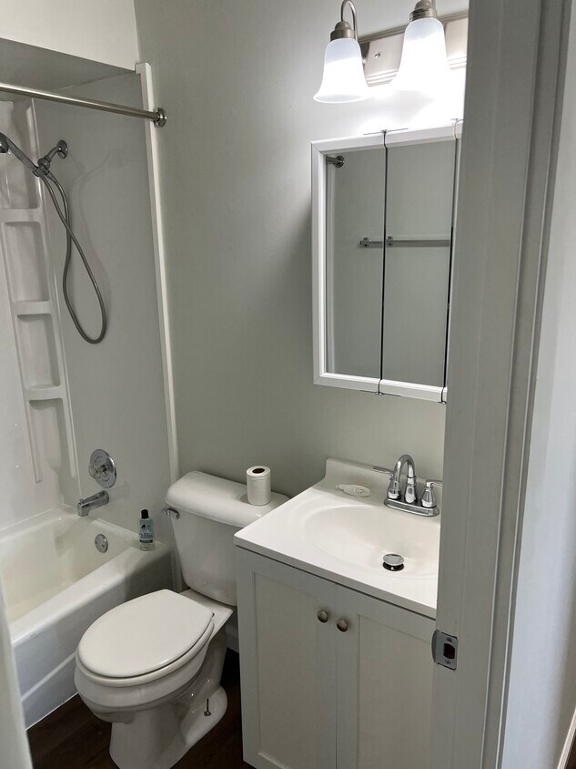 Brand new bathroom - 374 Lynn Dr