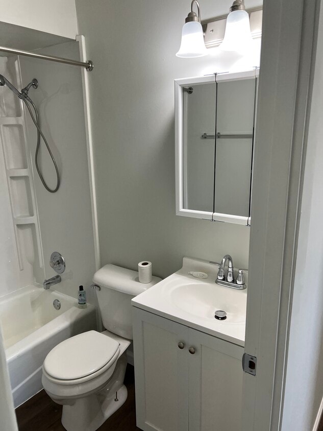 Brand new bathroom - 374 Lynn Dr