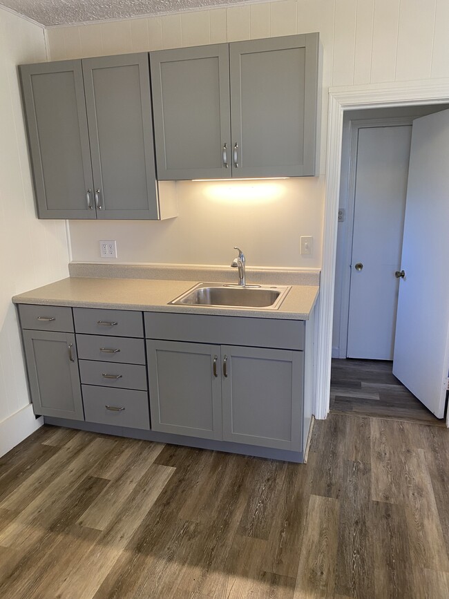 Kitchen first level - 231 Milford St