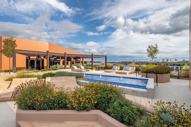 Photo - Illume Apartments