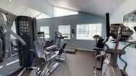 This single-story fitness room offers a functional and comfortable workout environment designed to accommodate a variety of exercise needs. The space features vaulted ceilings that lend an open, airy feel, enhanced by natural light streaming in through multiple windows fitted with white horizontal blinds. Views of surrounding greenery are visible through the windows, contributing to a pleasant atmosphere.

The room is outfitted with a selection of cardio and strength training equipment, including a treadmill, stationary bike, elliptical, and a multi-use weight machine, arranged to allow ease of movement between stations. Carpeted flooring runs throughout, providing cushioning underfoot. A large wall-mounted mirror spans one side of the room, visually expanding the space and allowing users to monitor their form during workouts.

The walls are painted in a cool steel blue tone, complementing the grey and silver tones of the fitness equipment. A wall-mounted accessory dispenser is also present, adding a practical touch. Overall, the space is clean, well-lit, and thoughtfully arranged to serve as a dedicated fitness facility.