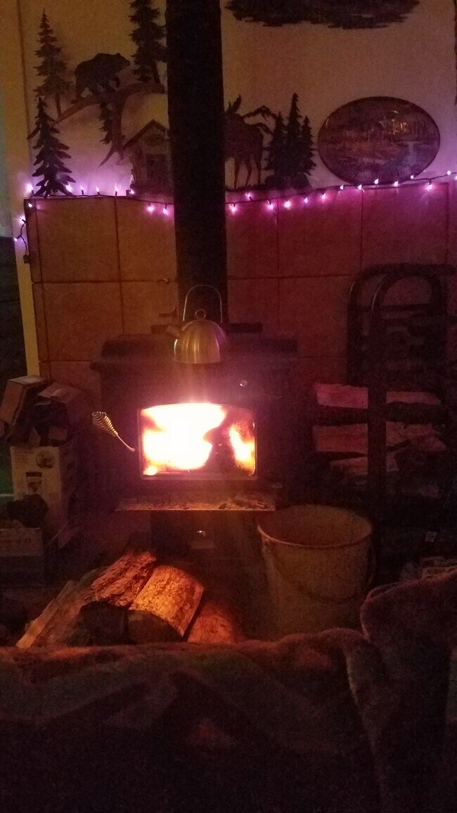 Wood stove - 8278 Green Tower Ln