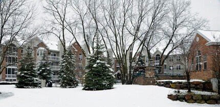 Building Photo - Yorktown Estates