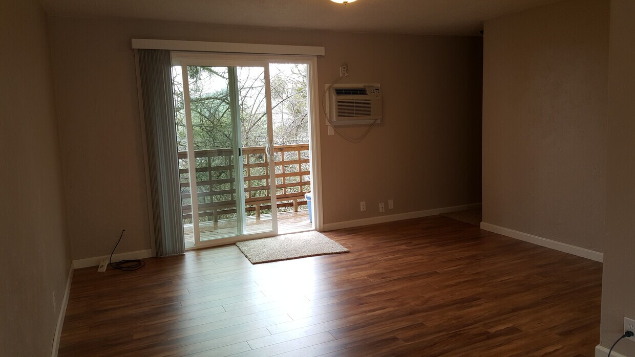 Living room looking to balcony - 435 Elm St