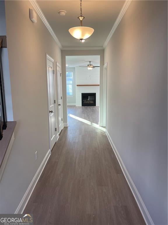 Building Photo - 4727 Canary Diamond Ln