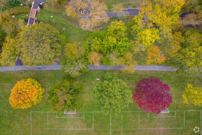 The fall foliage in Troy paints the town in vibrant hues of red, orange, and yellow.