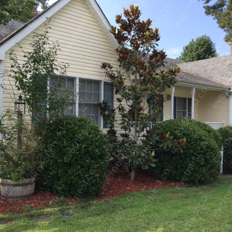 Primary Photo - 5501 Silver Fox Cir