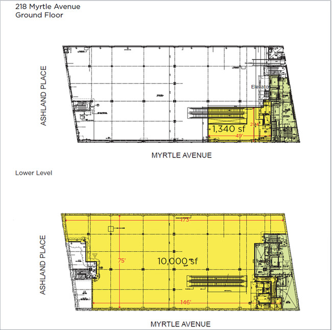 Plano de planta - 218 Myrtle Ave - The Andrea - The Andrea