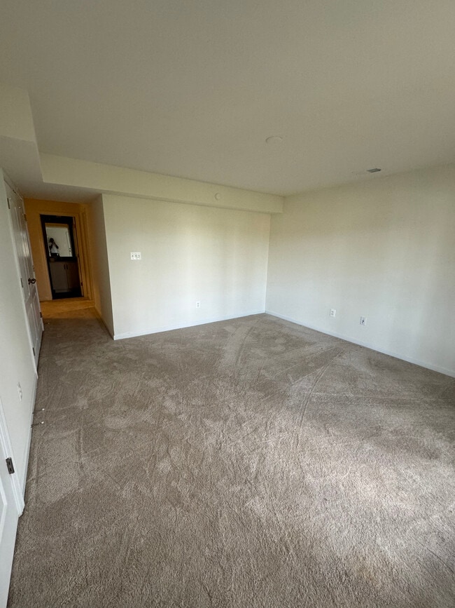 Basement - 20 Orchard Green Dr