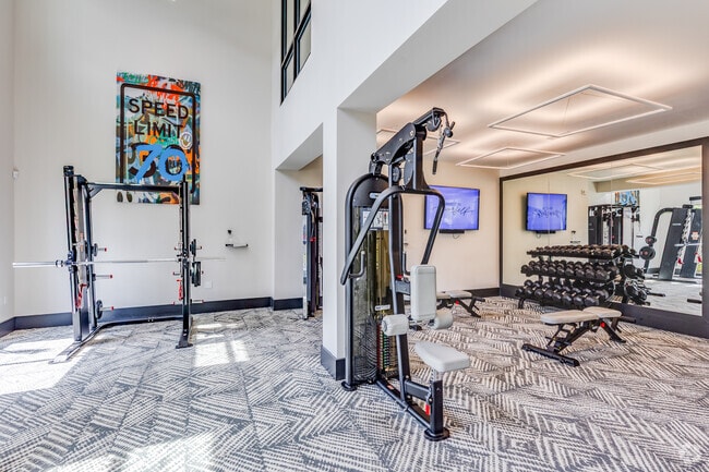Strength Fitness - Addison Farms