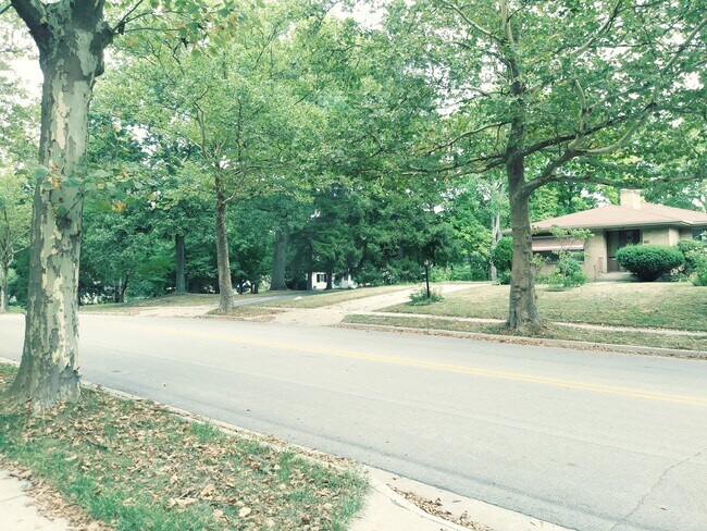accross the street view of neighborhood - 311 Plymouth Ave NE