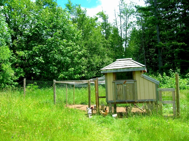 Foto del edificio - 1002 Jessup Rd