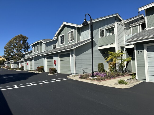 Newly remodeled exteriors and interiors - Oak Park Village Apartments