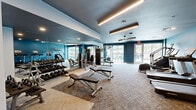 This modern fitness center spans a generous single-floor layout thoughtfully divided into two distinct functional areas. The main gym floor is designed with a bold teal and dark gray color palette, herringbone-patterned carpet, and sleek linear pendant lighting that creates an energizing atmosphere. Floor-to-ceiling mirrors along one wall visually expand the space and provide functional feedback during workouts. Large glass doors and windows along the exterior wall invite abundant natural light and outdoor views, enhancing the overall ambiance. The main floor is comprehensively outfitted with a full dumbbell rack, multiple weight benches, a cable machine, a multi-functional strength training station, treadmills, ellipticals, a stair climber, and a rowing machine. A standout decorative living green wall adds a vibrant, organic accent to one corner of the gym, providing a refreshing contrast to the modern equipment. The second room serves as a dedicated group fitness or yoga studio, featuring smooth hardwood flooring, vibrant green accent walls, recessed lighting, and a full mirrored wall — offering an open, flexible space ideal for stretching, yoga, or instructor-led classes. Together, the two areas provide a comprehensive and well-appointed fitness environment suitable for a wide range of workout preferences.