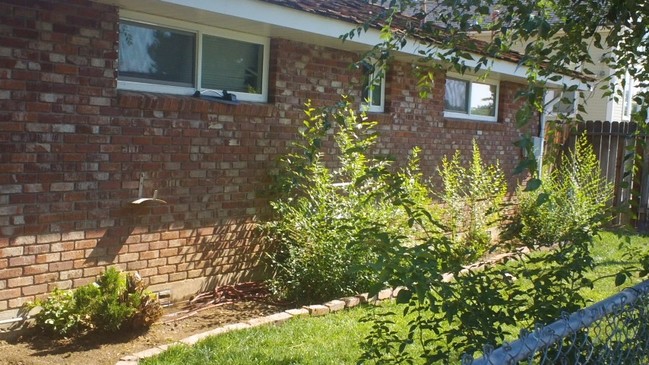 Building Photo - 955 Berrum Ln
