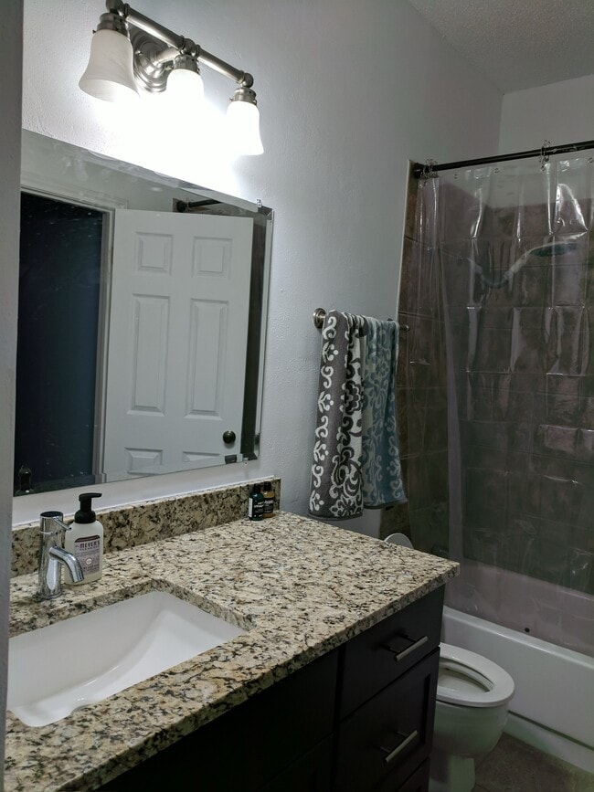 Guest Bath - 700 S 1st St