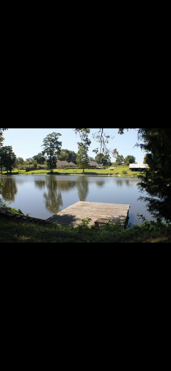 Building Photo - 7458 W Stacy Dr