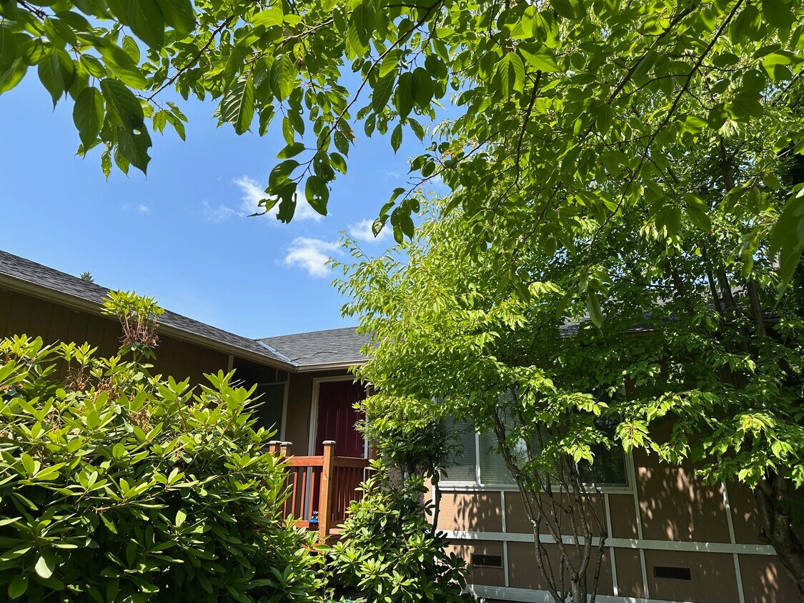 Foto principal - 11316 SE 230th Pl