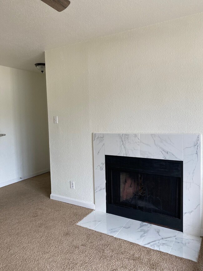 Fireplace - 9700 Leawood Blvd