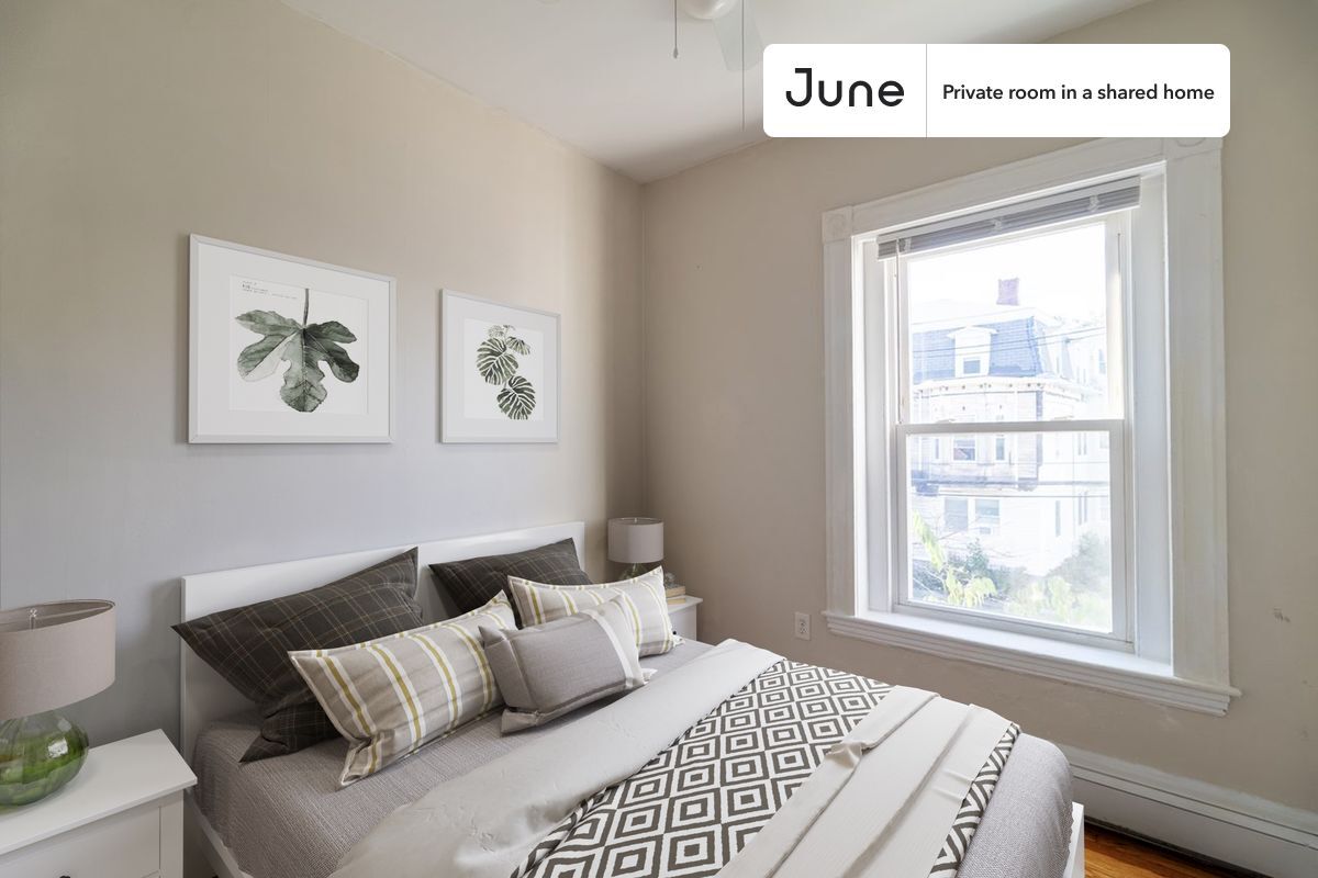 Private bedroom in 4 bed/2 bath Home - Private bedroom in 4 bed/2 bath Home