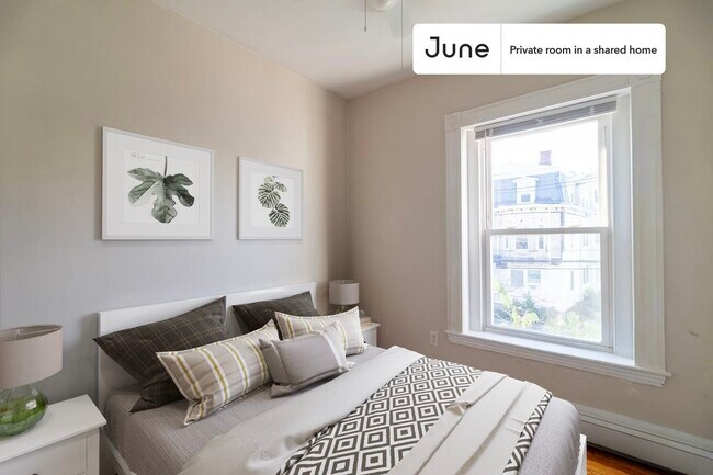 Private bedroom in 4 bed/2 bath Home - Private bedroom in 4 bed/2 bath Home