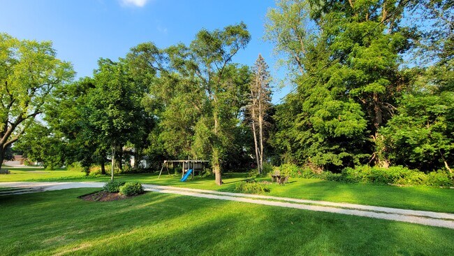 Yard - 438 Ada Street
