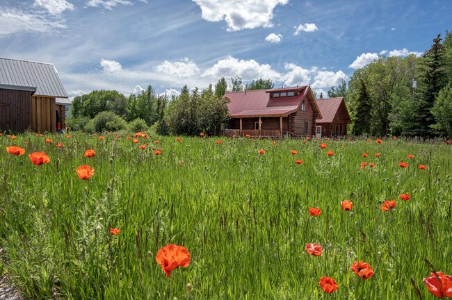 Foto del edificio - Charming Log Cabin and Carriage House – Do...