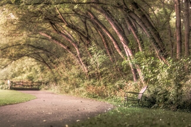 A peaceful trail in Brunet Park