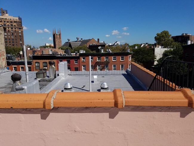 roof - 91 Hanson Pl