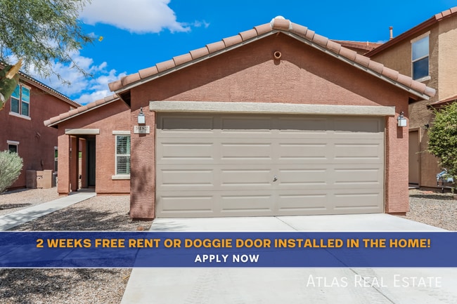 Building Photo - 9482 Desert Fauna Loop Building Photo - 9482 Desert Fauna Loop