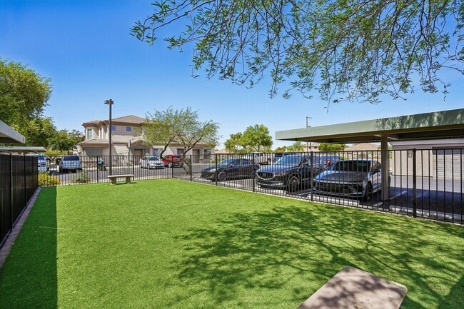 Adiamo Palm Valley Apartments in Goodyear, AZ - Adiamo Palm Valley