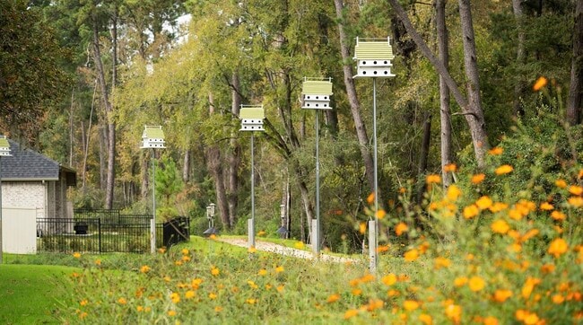 Building Photo - 14818 Whistling Duck Ln