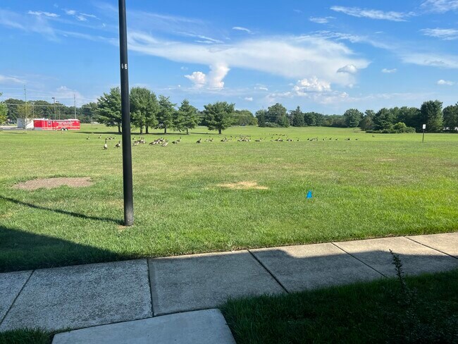 Vista de la puerta principal - 2605 Thistledown Ct