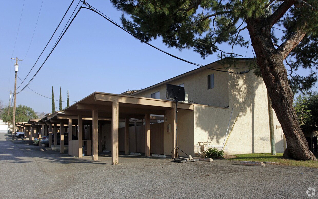 Foto principal - Mountain Pines