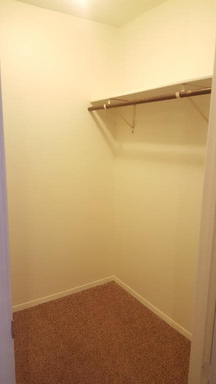 Building Photo - 1637 Carriage Hill Drive #5